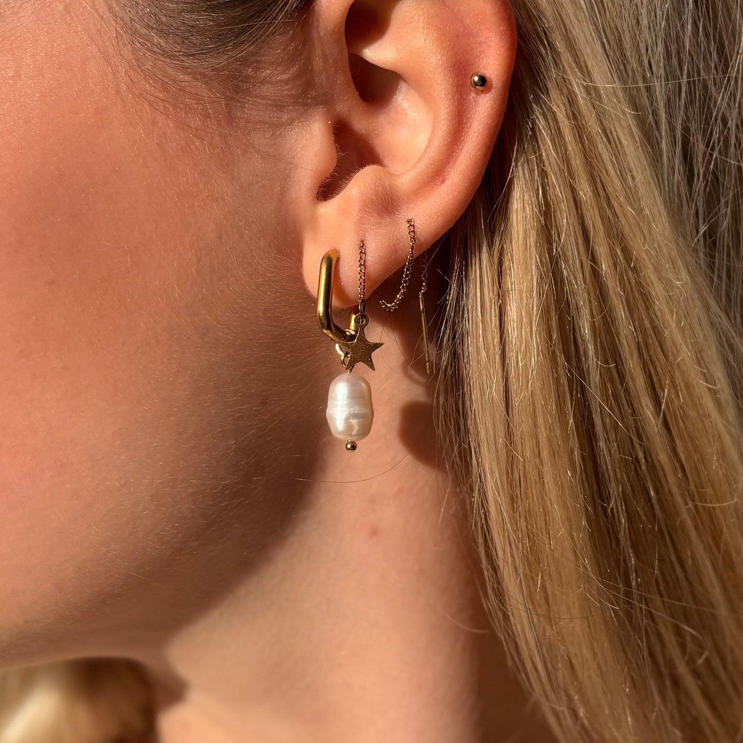 Boucles d'Oreilles Interchangeables